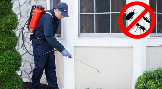 Yedisu Hamam Böceği İlaçlama böcek ilaçlama ve haşere kontrolü — ilaclama-tr.com